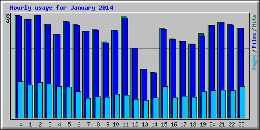 Hourly usage for January 2014